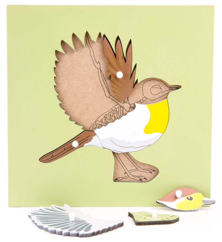 Levně Montessori pomůcky Puzzle s kostrou - pták