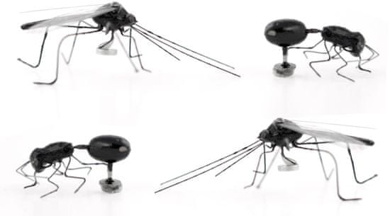Kikkerland Sada magnetů Insect 4 ks
