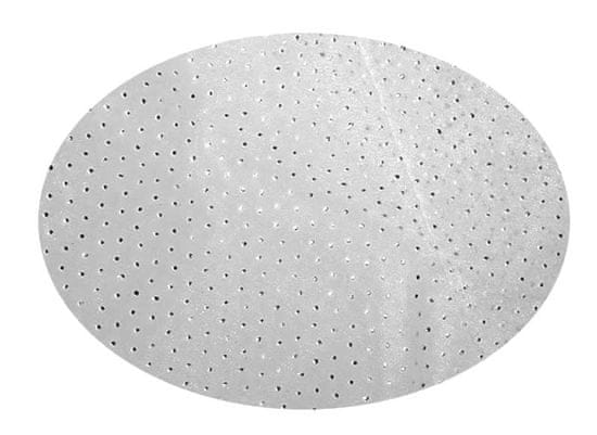 EverGreen Dekorační organza puntíky stříbrná 2 x 1,5 m