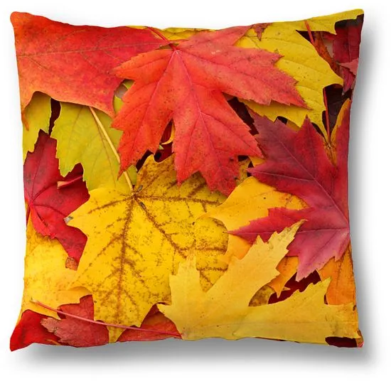 Mistral Home Dekorační polštářek Podzim 40x40 cm