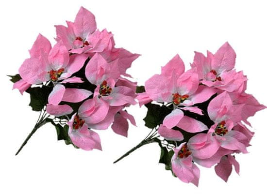EverGreen Poinsettia velkokvětá 2 ks růžová