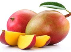 Allegria mangová exotická masáž 