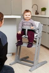 BabyDan Jídelní židlička Dan Chair New