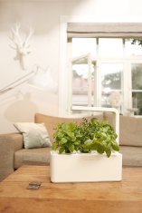 Click and Grow chytrý květináč pro pěstování bylinek, zeleniny, květin a stromů - Smart Garden 3, bílá