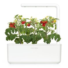 Click and Grow mini rajčata, kapsle se semínky a substrátem 3 ks