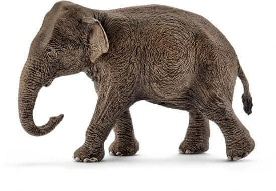 Schleich Asijský slon samice 14753