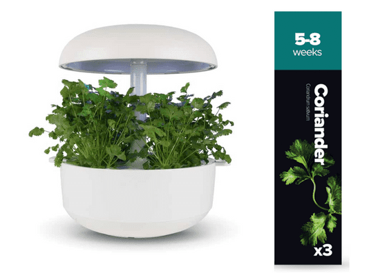Plantui náplň pro smart květináč - Koriandr, 3ks v balení