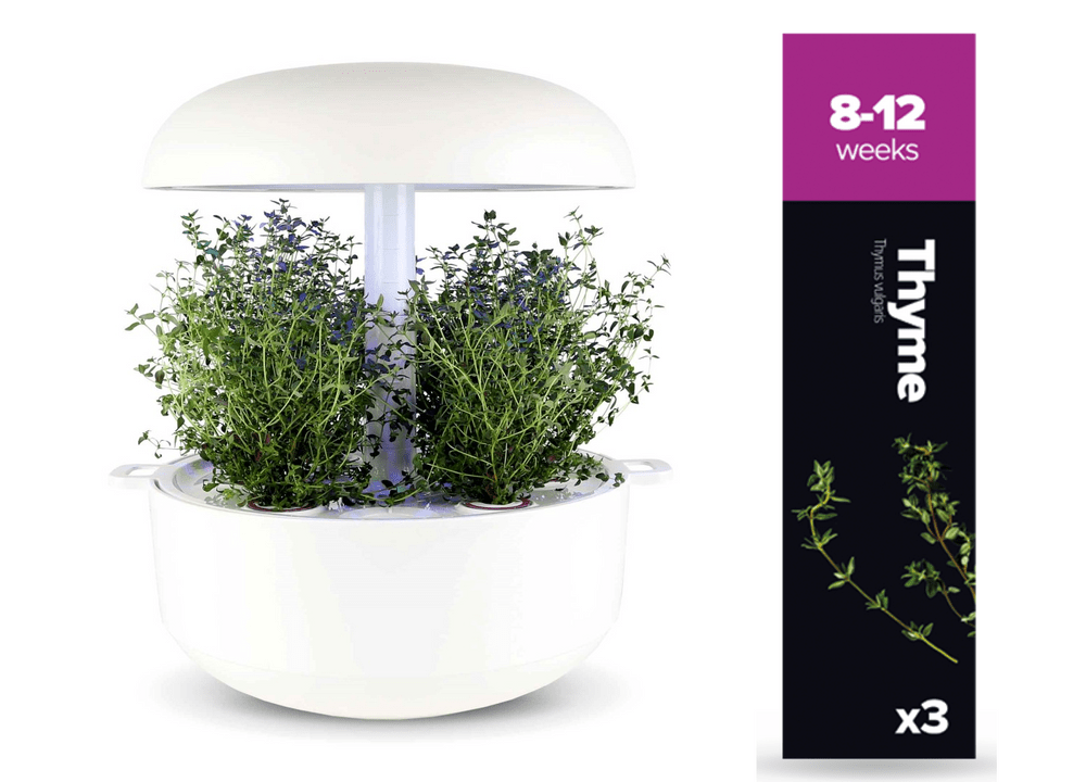 Plantui náplň pro smart květináč - Tymián, 3ks v balení