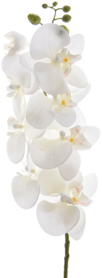 Kaemingk Orchidej mnohokvětá, bílá, 77 cm