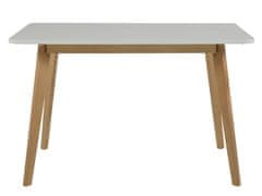 Design Scandinavia Jídelní stůl Corby, 120 cm bříza / bílá