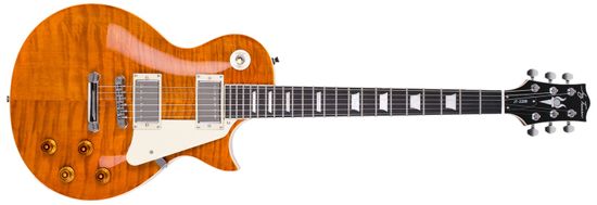 Jay Turser JT-220D-TE-A-U Elektrická kytara