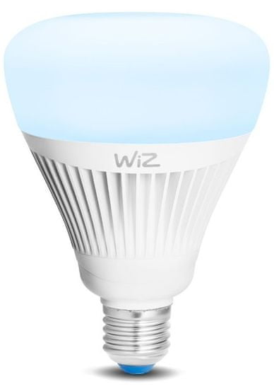 WiZ LED Žárovka colors G.100 E27 WZ0189081