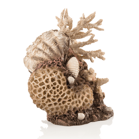 Oase Akvarijní dekorace mořský korál s mušlí