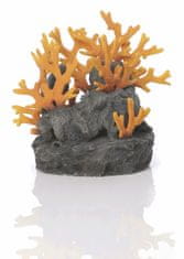 Oase Lávový kámen s oranžovým korálem