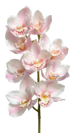 Kaemingk Orchidej, real touch, polyester - světle růžová