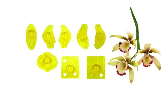 JEM Vykrajovátka 8ks – malá orchidej Cymbidium - PME