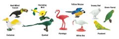 Safari Ltd. Tuba - Exotické ptactvo