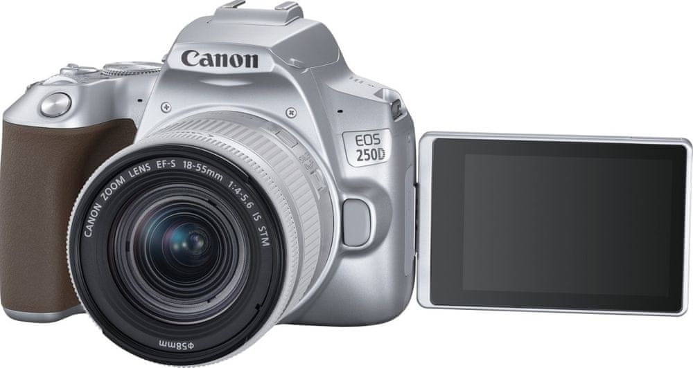 Canon EOS 250D + 18-55 EF-S IS STM Silver (3461C001)