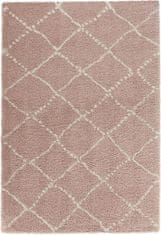 Kusový koberec Allure 102750 rosa creme 160x230