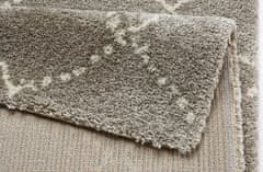 Mint Rugs Kusový koberec Allure 102752 grau creme 80x150