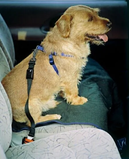 Ferplast bezpečnostní pás pro psa do auta 25 mm x 37- 50 cm