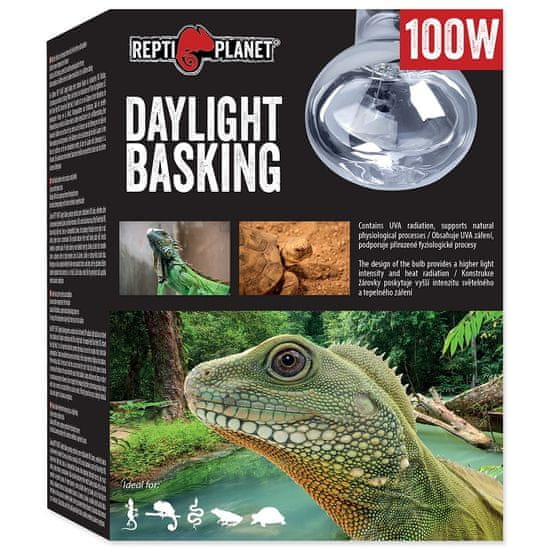 REPTI PLANET žárovka Daylight Basking Spot 100 W