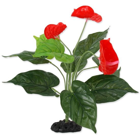 REPTI PLANET Rostlina kvetoucí Anthurium 40 cm