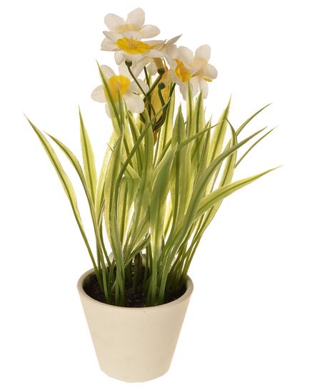 EverGreen Dekorativní narcisy v květináči, výška 22 cm - bílé