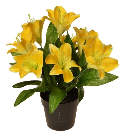EverGreen Dekorativní lilie v květináči, výška 30 cm - žlutá