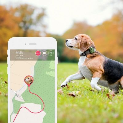 Tractive GPS Különleges vadászati kiadás, GPS nyakörv kutyáknak, live tracking, kutya megfigyelése, virtuális kerítés