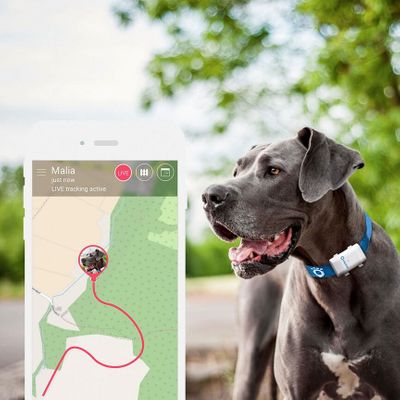 Tractive GPS Tracker XL, GPS obojek pro psy, live tracking, sledování psa, virtuální plot