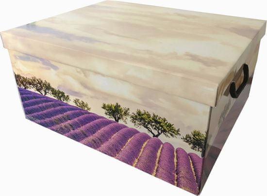 DUE ESSE Skladovací úložná krabice Fantazie, 50 × 40 × 25 cm, levandule