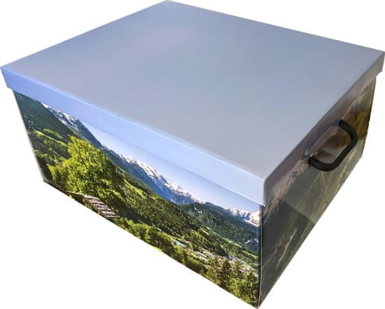 DUE ESSE Skladovací úložná krabice Fantazie, 50 × 40 × 25 cm, horská louka
