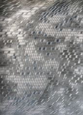 Berfin Dywany Kusový koberec Vals 8375 Grey 80x150