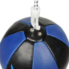 DBX BUSHIDO reflexní míč ARS-1150 B