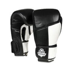 DBX BUSHIDO boxerské rukavice ARB-431 12 oz