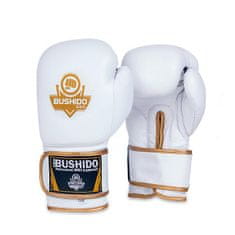DBX BUSHIDO boxerské rukavice DBD-B-2 10 oz