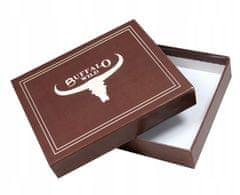Buffalo Wild Pánská elegantní kožená peněženka Paolo, černá