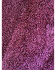 Kusový Koberec Shaggy Plus Purple 957 160x230