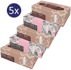 Onclé Papírové kapesníky BOX – 5x 80ks – 4vrstvé – se šípkovým olejem a přírodním squalanem