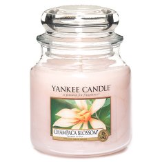 Yankee Candle Svíčka ve skleněné dóze , Květ magnólie champaca, 410 g