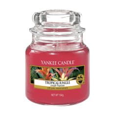 Yankee Candle Svíčka ve skleněné dóze , Tropická džungle, 104 g