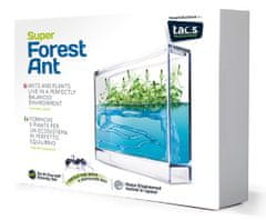 Super Forest Ant Ecoterrarium