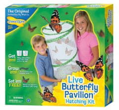Insect Lore Insect Lore Motýlí pavilón (6-10 housenek) - Butterfly Pavilion