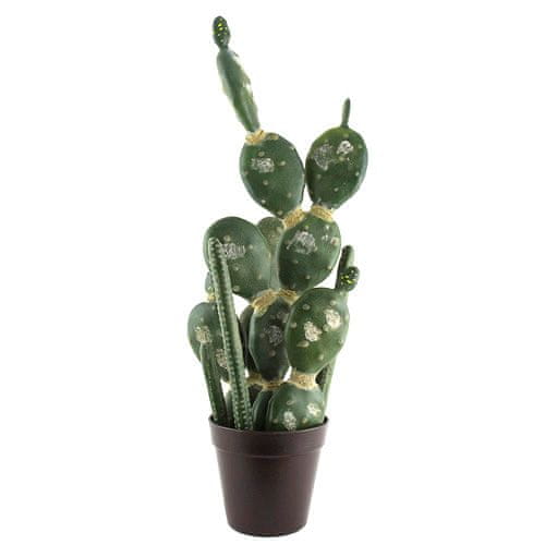 Europalms Kaktus mix , Kaktus mix v květináči, 54cm