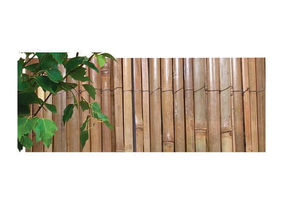 NOHEL GARDEN Rohož ze štípaného bambusu 2 x 5 m