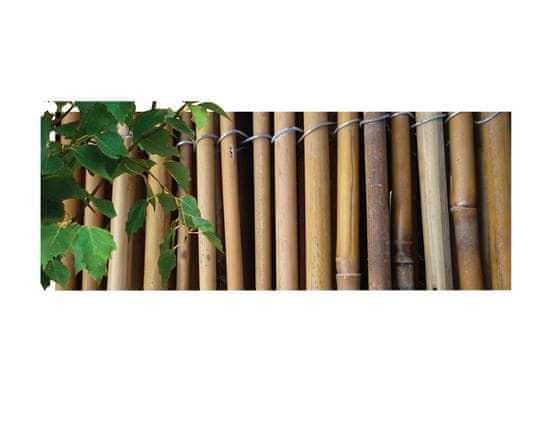NOHEL GARDEN Rohož bambusová 1 m x 3 m