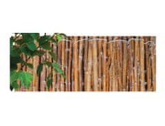 NOHEL GARDEN Rohož z vrbového proutí 2,5 cm; 1,5 x 3 m