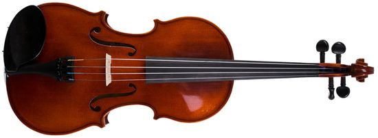 Strunal Housle Parma 205wA 4/4 Akustické housle