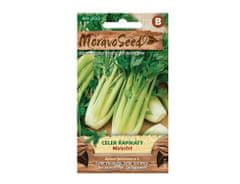 MORAVOSEED Celer řapíkatý MALACHIT zelený